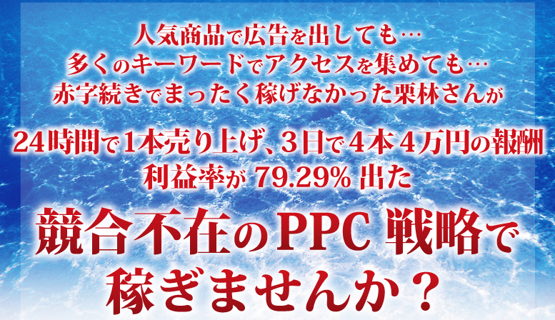 ブルーオーシャンPPCイメージ画像1