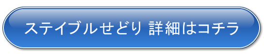 詳細はコチラ 詳細はコチラ