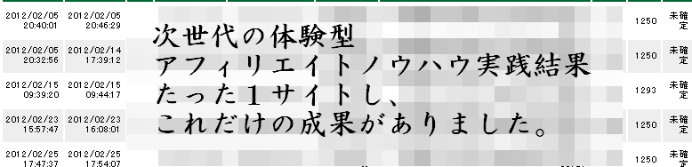 次世代の正統派体験型アフィリエイトノウハウ 実践結果